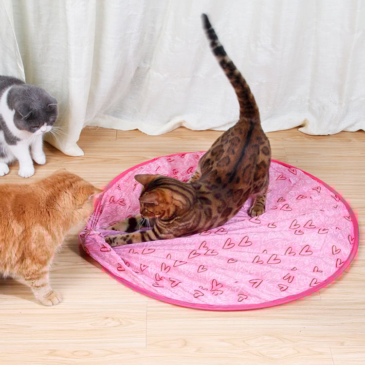 🔥New Year 2024 Sale 49% OFF✨2 in 1 Simulated Interactive hunting cat toy